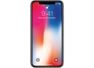 Apple iPhone X 256Gb Space Gray