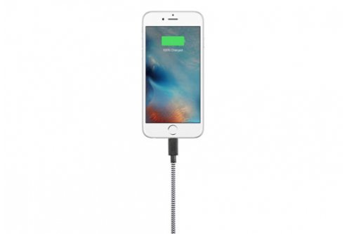 Кабель Native Union Belt Lightning/USB, 1.2 м, зебра