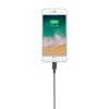 Кабель Native Union Belt Lightning/USB, 3 м, серый