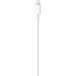 Кабель Apple USB-C/Lightning 1 м
