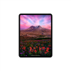 Apple iPad Pro (M4, 2024) 11 Wi-Fi 256GB, серебристый